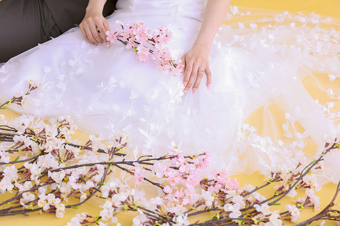 Studio clori 事例4